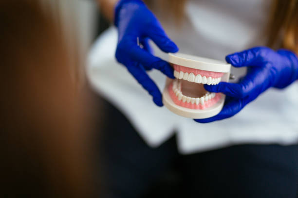 Trusted Osceola, WI  Holistic Dental Services Experts